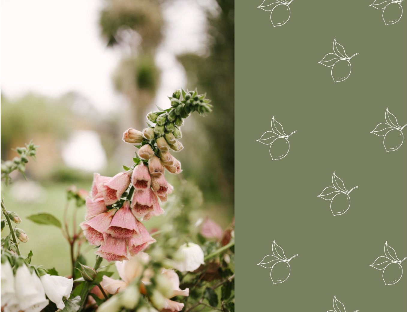 Deborah Garber's website's aesthetic