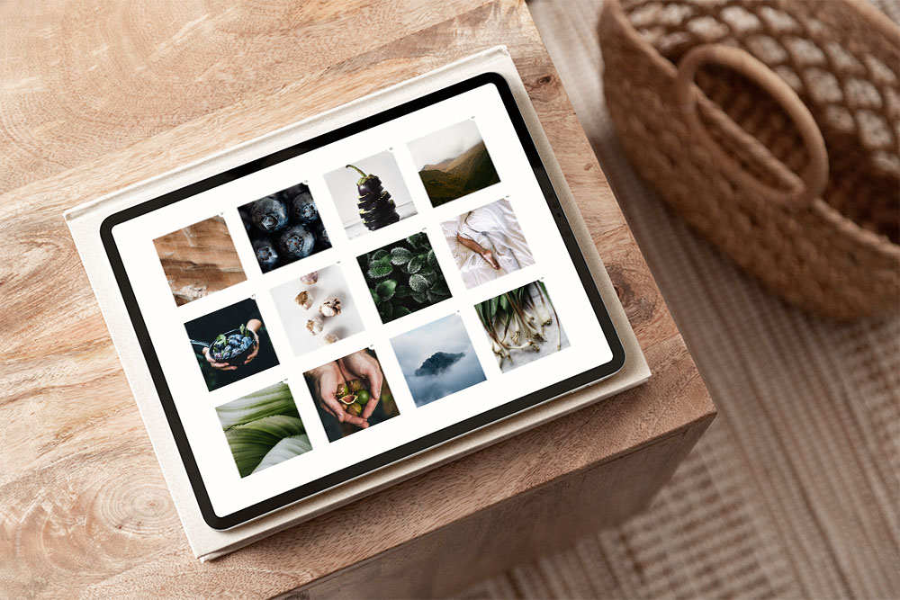 Erin Mill's Coaching Website Moodboard