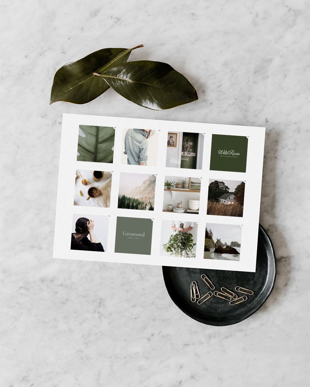 Wellspring Health's Moodboard